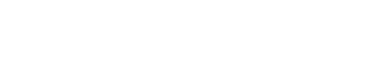 LAGUNA INVESTMENT
