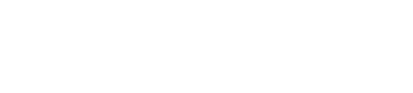 LAGUNA INVESTMENT